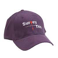 Surveyt-baseball2medium.jpg